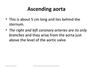 Prof.Sunil Chavan Prin.K.M.Kundnani Pharmacy Polytechnic
Ascending aorta
• This is about 5 cm long and lies behind the
sternum.
• The right and left coronary arteries are its only
branches and they arise from the aorta just
above the level of the aortic valve
 