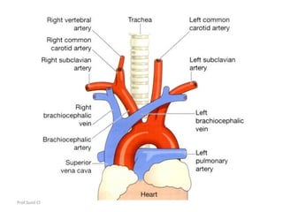 Prof.Sunil Chavan Prin.K.M.Kundnani Pharmacy Polytechnic
 