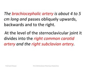 Prof.Sunil Chavan Prin.K.M.Kundnani Pharmacy Polytechnic
The brachiocephalic artery is about 4 to 5
cm long and passes obliquely upwards,
backwards and to the right.
At the level of the sternoclavicular joint it
divides into the right common carotid
artery and the right subclavian artery.
 