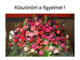 Köszönöm a figyelmet !
 