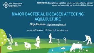 MAJOR BACTERIAL DISEASES AFFECTING
AQUACULTURE
Olga Haenen, olga.haenen@wur.nl
Aquatic AMR Workshop 1: 10-11 April 2017, Mangalore, India
FMM/RAS/298: Strengthening capacities, policies and national action plans on
prudent and responsible use of antimicrobials in fisheries
 