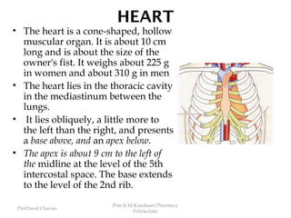 Prof.Sunil Chavan
Prin.K.M.Kundnani Pharmacy
Polytechnic
HEART
• The heart is a cone-shaped, hollow
muscular organ. It is about 10 cm
long and is about the size of the
owner's fist. It weighs about 225 g
in women and about 310 g in men
• The heart lies in the thoracic cavity
in the mediastinum between the
lungs.
• It lies obliquely, a little more to
the left than the right, and presents
a base above, and an apex below.
• The apex is about 9 cm to the left of
the midline at the level of the 5th
intercostal space. The base extends
to the level of the 2nd rib.
 
