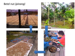 Grand Design dan Riset Aksi untuk Pencegahan Kebakaran