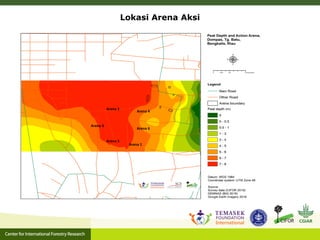 Grand Design dan Riset Aksi untuk Pencegahan Kebakaran