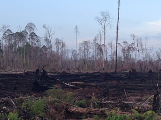 <Title>
 List 1
 List 2
 List 3
 