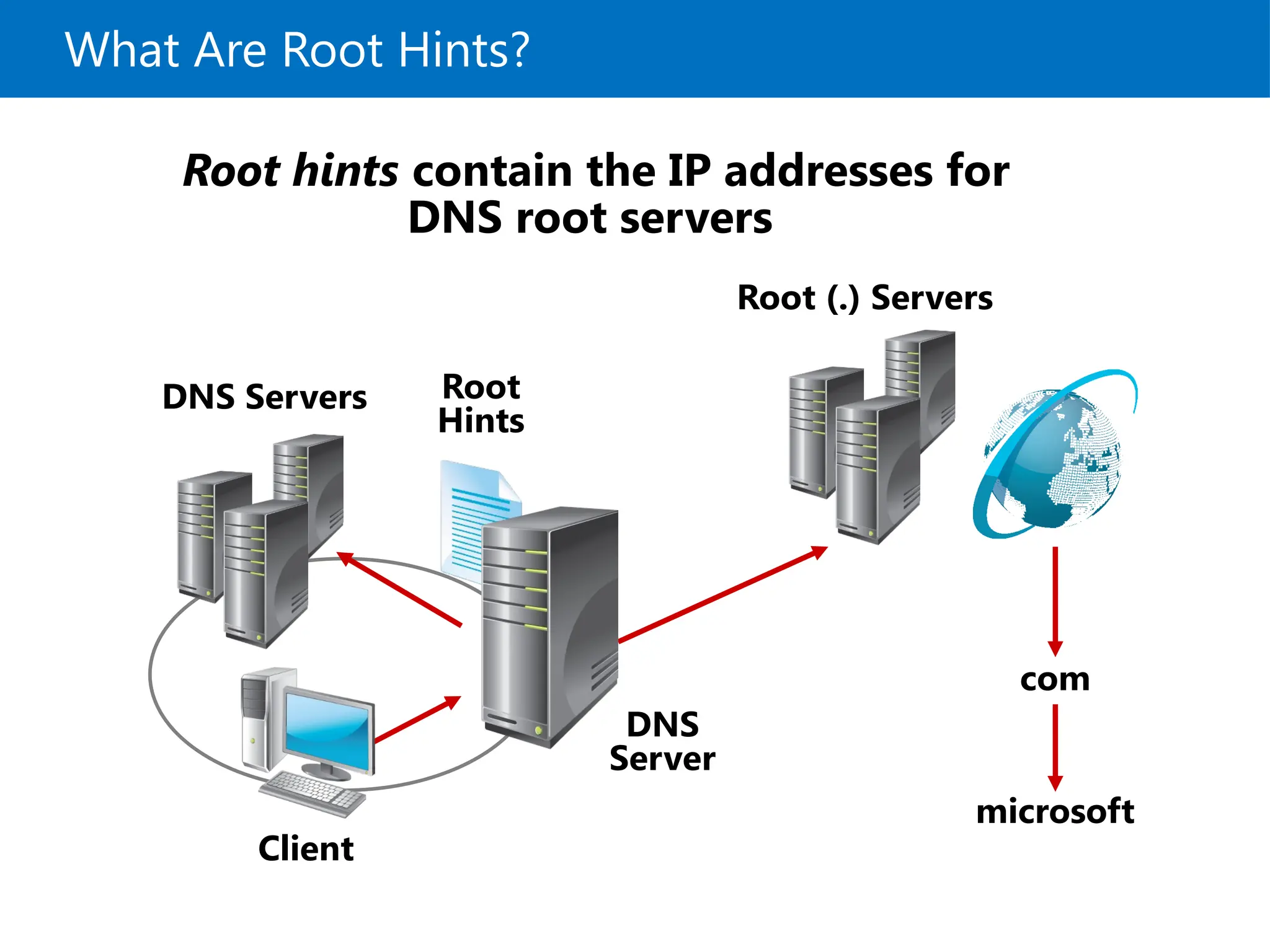 What Are Root Hints?
microsoft
DNS Servers
DNS
Server
com
Client
Root
Hints
Root (.) Servers
Root hints contain the IP addresses for
DNS root servers
 