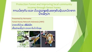 Protection Forest and Improving local community
income through forest honey
ການປ້ ອງກັ ນ ແລະ ປັ ບປຸ ງລາຍຮັ ບຂອງຄົ ນຊົ ນນະບົ ດຈາກ
ນ້ າເຜ້ ງປ່ າ
Presented by Hermanto
Forest Honey Network Indonesia (JMH)
ນາສະເໜີ ໂດຍ : ເຮີ ມັ ນໂຕ
ເຄ່ ອຂ່ າຍເຜ້ ງປ່ າ ປະເທດ ອນໂດນີ ເຊຍ
 
