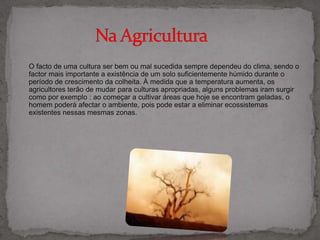 O facto de uma cultura ser bem ou mal sucedida sempre dependeu do clima, sendo o factor mais importante a existência de um solo suficientemente húmido durante o período de crescimento da colheita. À medida que a temperatura aumenta, os agricultores terão de mudar para culturas apropriadas, alguns problemas iram surgir como por exemplo : ao começar a cultivar áreas que hoje se encontram geladas, o homem poderá afectar o ambiente, pois pode estar a eliminar ecossistemas existentes nessas mesmas zonas.                   Na Agricultura 