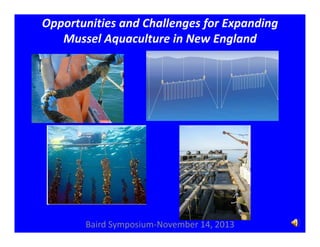 Opportunities and Challenges for Expanding 
Mussel Aquaculture in New England

Baird Symposium‐November 14, 2013

 