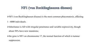 NF1 (von Recklinghausen disease) is the most common phacomatosis, affecting
1 : 4000 individuals.
Inheritance is AD with irregular penetrance and variable expressivity, though
about 50% have new mutations;
the gene is NF1 on chromosome 17, the normal function of which is tumour
suppression.
 