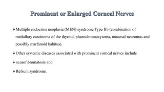 Multiple endocrine neoplasia (MEN) syndrome Type IIb (combination of
medullary carcinoma of the thyroid, phaeochromocytoma, mucosal neuromas and
possibly marfanoid habitus).
Other systemic diseases associated with prominent corneal nerves include
neurofibromatosis and
Refsum syndrome.
 
