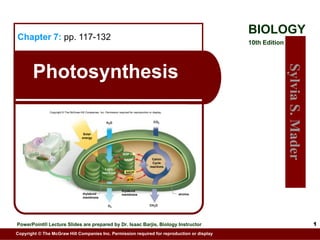  Chapter 7:pp. 117-132 Photosynthesis Copyright © The McGraw-Hill Companies, Inc. Permission required for reproduction or display. CO2 H2O NADP+ Solar energy P ADP + Calvin Cycle reactions NADP+ Light reactions NADP ATP thylakoid membrane thylakoid membrane stroma CH2O O2 1 