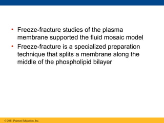 • Freeze-fracture studies of the plasma
membrane supported the fluid mosaic model
• Freeze-fracture is a specialized preparation
technique that splits a membrane along the
middle of the phospholipid bilayer
© 2011 Pearson Education, Inc.
 