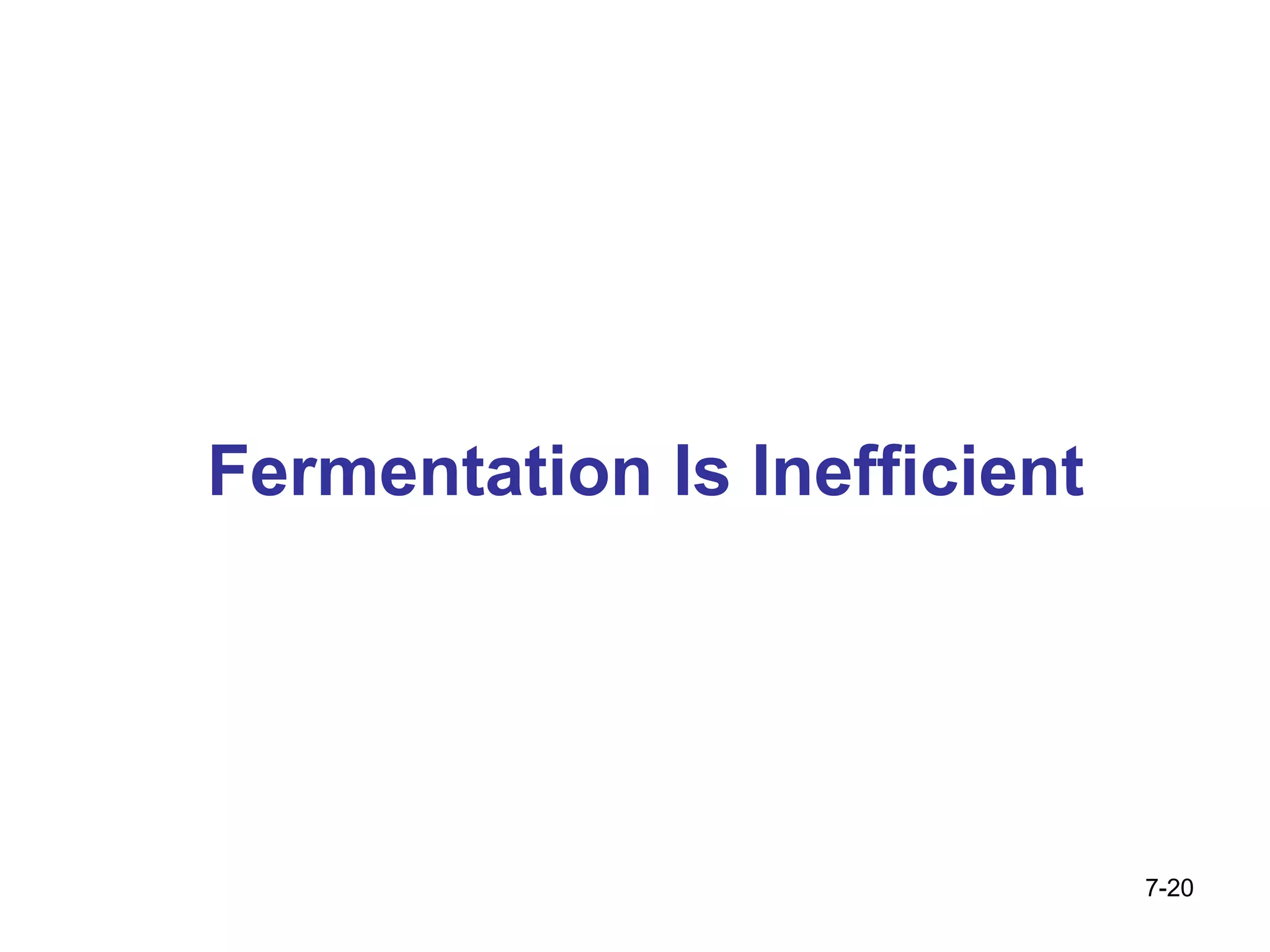 7- Fermentation Is Inefficient 