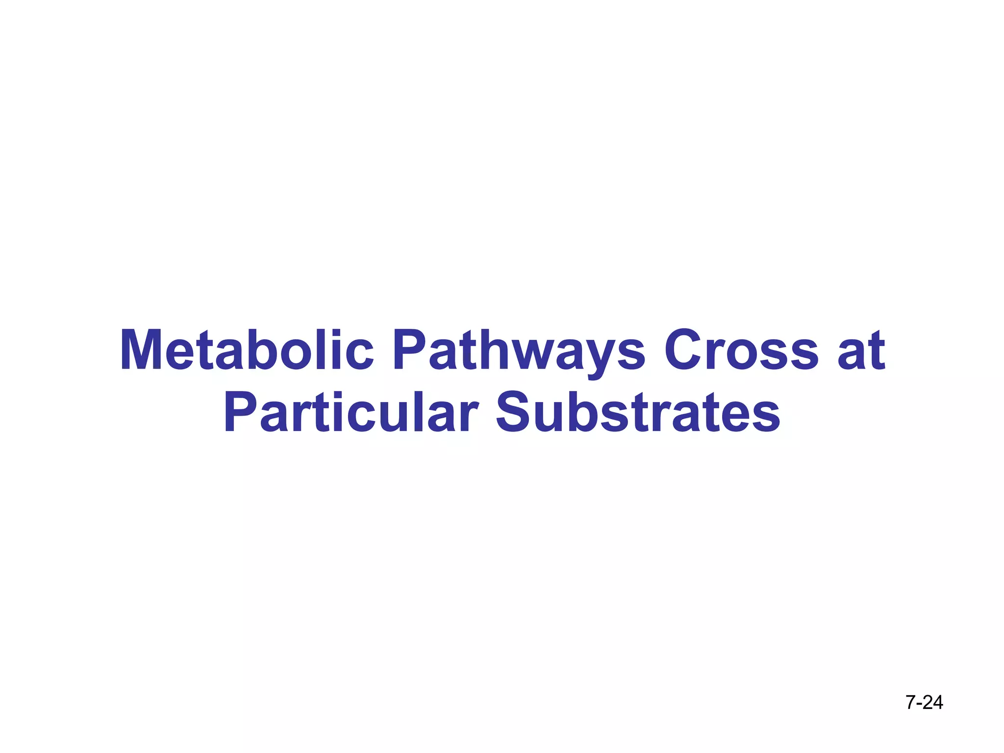 Metabolic Pathways Cross at Particular Substrates 7- 