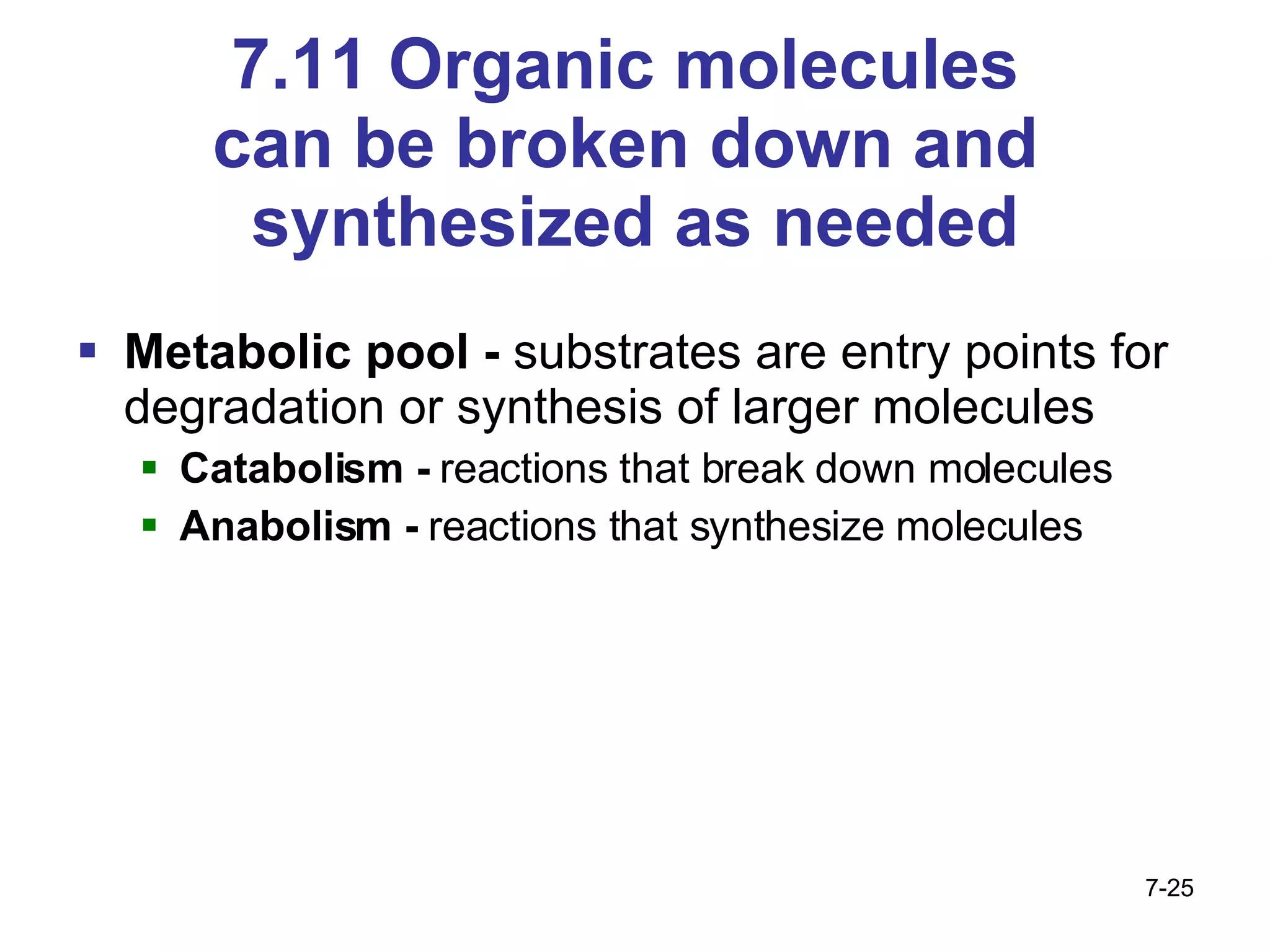 7.11 Organic molecules  can be broken down and  synthesized as needed Metabolic pool -  substrates are entry points for degradation or synthesis of larger molecules Catabolism -  reactions that break down molecules Anabolism -  reactions that synthesize molecules 7- 