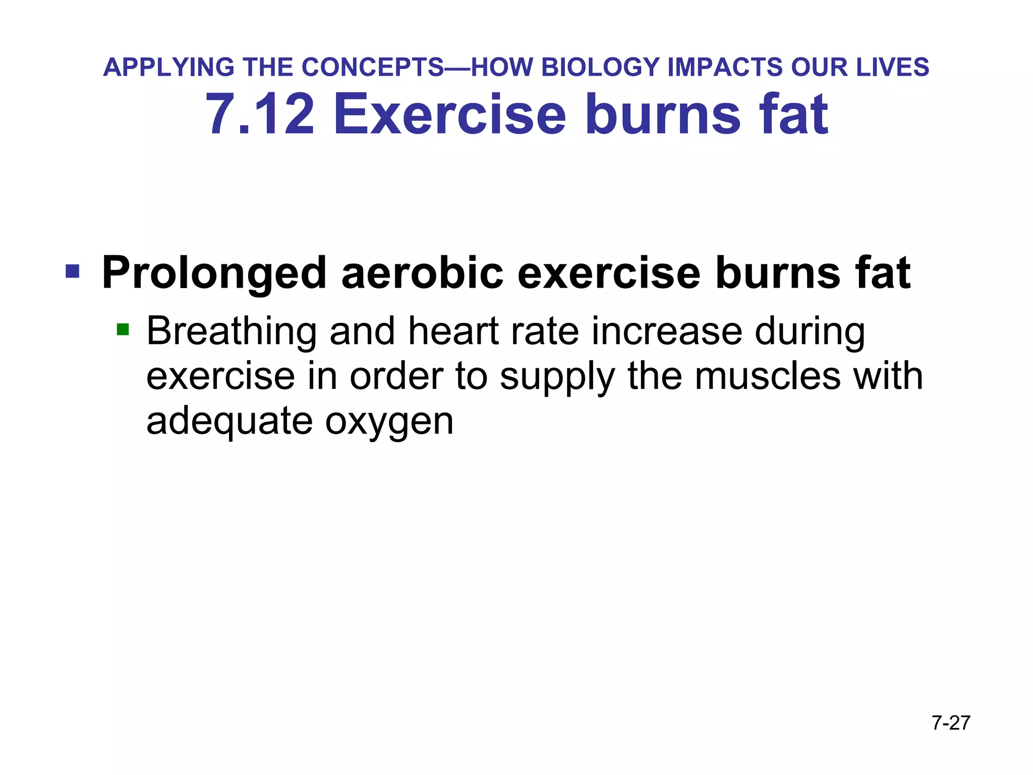 APPLYING THE CONCEPTS—HOW BIOLOGY IMPACTS OUR LIVES 7.12 Exercise burns fat Prolonged aerobic exercise burns fat Breathing and heart rate increase during exercise in order to supply the muscles with adequate oxygen 7- 