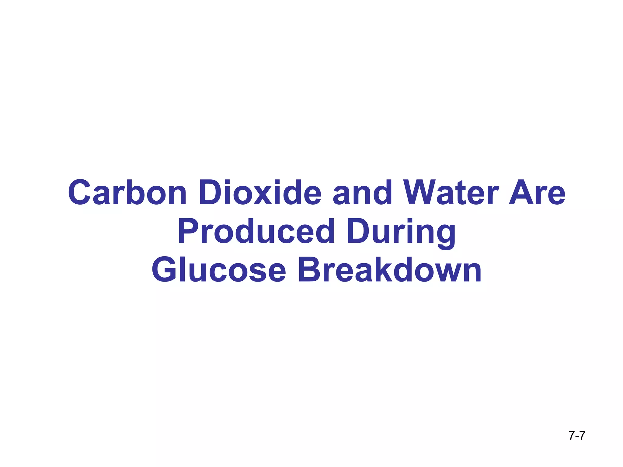 Carbon Dioxide and Water Are Produced During Glucose Breakdown 7- 