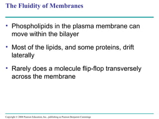 The Structure and Function of the Membrane | PPT