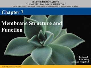 LECTURE PRESENTATIONS
                                    For CAMPBELL BIOLOGY, NINTH EDITION
                Jane B. Reece, Lisa A. Urry, Michael L. Cain, Steven A. Wasserman, Peter V. Minorsky, Robert B. Jackson



Chapter 7

Membrane Structure and
Function



                                                                                                                    Lectures by
                                                                                                                    Erin Barley
                                                                                                            Kathleen Fitzpatrick

© 2011 Pearson Education, Inc.
 