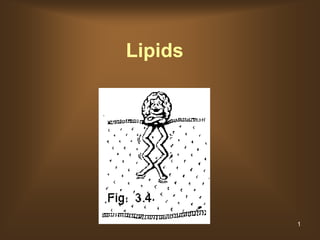 Lipids




         1
 