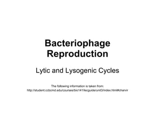 Bacteriophage Reproduction Lytic and Lysogenic Cycles The following information is taken from: http://student.ccbcmd.edu/courses/bio141/lecguide/unit3/index.html#charvir 