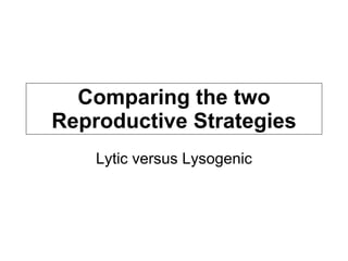 Comparing the two Reproductive Strategies Lytic versus Lysogenic 