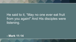 He said to it, “May no one ever eat fruit
from you again!” And His disciples were
listening.
- Mark 11:14
 