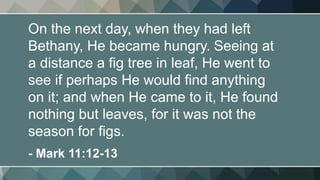 On the next day, when they had left
Bethany, He became hungry. Seeing at
a distance a fig tree in leaf, He went to
see if perhaps He would find anything
on it; and when He came to it, He found
nothing but leaves, for it was not the
season for figs.
- Mark 11:12-13
 