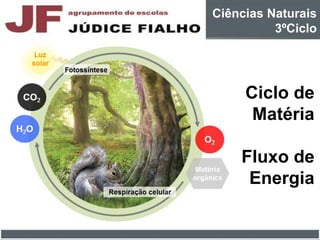 Ciclo de
Matéria
Fluxo de
Energia
Ciências Naturais
3ºCiclo
 