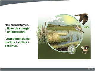 Nos ecossistemas,
o fluxo de energia
é unidirecional.
A transferência de
matéria é cíclica e
contínua.
5/10
 