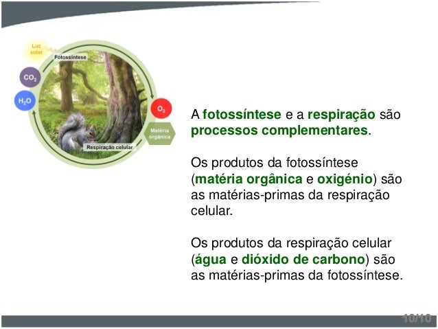 07 materia e energia