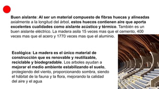 Buen aislante: Al ser un material compuesto de fibras huecas y alineadas
axialmente a la longitud del árbol, estos huecos contienen aire que aporta
excelentes cualidades como aislante acústico y térmico. También es un
buen aislante eléctrico. La madera asila 15 veces mas que el cemento, 400
veces mas que el acero y 1770 veces mas que el aluminio.
Ecológica: La madera es el único material de
construcción que es renovable y reutilizable,
reciclable y biodegradable. Los arboles ayudan a
mejorar el medio ambiente estabilizando el suelo,
protegiendo del viento, proporcionando sombra, siendo
el hábitat de la fauna y la flora, mejorando la calidad
del aire y el agua
 