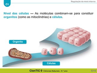 Regulação do meio interno
C1
CienTIC 9 Ciências Naturais - 9.o ano
Nível das células — As moléculas combinam-se para constituir
organitos (como as mitocôndrias) e células.
5/16
Células
Organito
 