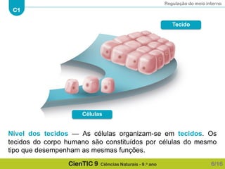 Regulação do meio interno
C1
CienTIC 9 Ciências Naturais - 9.o ano
Nível dos tecidos — As células organizam-se em tecidos. Os
tecidos do corpo humano são constituídos por células do mesmo
tipo que desempenham as mesmas funções.
6/16
Células
Tecido
 