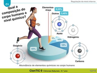 Regulação do meio interno
C1
CienTIC 9 Ciências Naturais - 9.o ano 12/16
Oxigénio
Carbono
Hidrogénio
Azoto
Outros
Elementos-
-traço
65%
18%
10%
3%
0,55%
3,45%
Abundância de elementos químicos no corpo humano
 