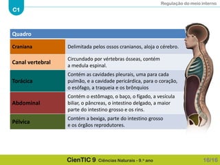 Regulação do meio interno
C1
CienTIC 9 Ciências Naturais - 9.o ano
Quadro
Craniana Delimitada pelos ossos cranianos, aloja o cérebro.
Canal vertebral
Circundado por vértebras ósseas, contém
a medula espinal.
Torácica
Contém as cavidades pleurais, uma para cada
pulmão, e a cavidade pericárdica, para o coração,
o esófago, a traqueia e os brônquios
Abdominal
Contém o estômago, o baço, o fígado, a vesícula
biliar, o pâncreas, o intestino delgado, a maior
parte do intestino grosso e os rins.
Pélvica
Contém a bexiga, parte do intestino grosso
e os órgãos reprodutores.
16/16
 