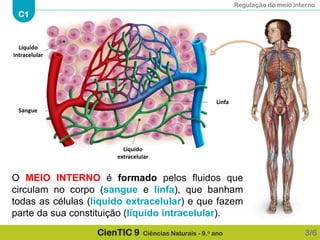 Regulação do meio interno
C1
CienTIC 9 Ciências Naturais - 9.o ano
O MEIO INTERNO é formado pelos fluidos que
circulam no corpo (sangue e linfa), que banham
todas as células (líquido extracelular) e que fazem
parte da sua constituição (líquido intracelular).
3/6
Líquido
extracelular
Líquido
intracelular
Sangue
Linfa
 