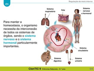 Regulação do meio interno
C1
CienTIC 9 Ciências Naturais - 9.o ano
Para manter a
homeostasia, o organismo
necessita da interconexão
de todos os sistemas de
órgãos, sendo o sistema
nervoso e o sistema
hormonal particularmente
importantes.
5/6
Sistema
respiratório
Pele
Sistema
nervoso
e hormonal
Sistema
circulatório
Sistema
urinário
Sistema
digestivo
 