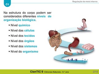 Regulação do meio interno
C1
CienTIC 9 Ciências Naturais - 9.o ano
Na estrutura do corpo podem ser
considerados diferentes níveis de
organização biológica.
 Nível químico
 Nível das células
 Nível dos tecidos
 Nível dos órgãos
 Nível dos sistemas
 Nível do organismo
2/16
 