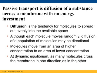 Passive transport is diffusion of a substance
across a membrane with no energy
investment
     • Diffusion is the tendency for molecules to spread
       out evenly into the available space
     • Although each molecule moves randomly, diffusion
       of a population of molecules may be directional
     • Molecules move from an area of higher
       concentration to an area of lower concentration
     • At dynamic equilibrium, as many molecules cross
       the membrane in one direction as in the other

© 2011 Pearson Education, Inc.
 