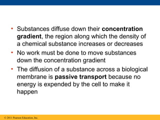 • Substances diffuse down their concentration
       gradient, the region along which the density of
       a chemical substance increases or decreases
     • No work must be done to move substances
       down the concentration gradient
     • The diffusion of a substance across a biological
       membrane is passive transport because no
       energy is expended by the cell to make it
       happen


© 2011 Pearson Education, Inc.
 