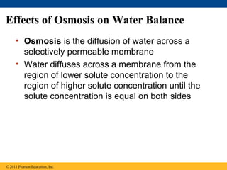 Effects of Osmosis on Water Balance
     • Osmosis is the diffusion of water across a
       selectively permeable membrane
     • Water diffuses across a membrane from the
       region of lower solute concentration to the
       region of higher solute concentration until the
       solute concentration is equal on both sides




© 2011 Pearson Education, Inc.
 
