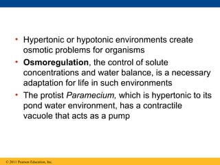 • Hypertonic or hypotonic environments create
       osmotic problems for organisms
     • Osmoregulation, the control of solute
       concentrations and water balance, is a necessary
       adaptation for life in such environments
     • The protist Paramecium, which is hypertonic to its
       pond water environment, has a contractile
       vacuole that acts as a pump




© 2011 Pearson Education, Inc.
 