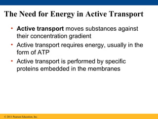 The Need for Energy in Active Transport
     • Active transport moves substances against
       their concentration gradient
     • Active transport requires energy, usually in the
       form of ATP
     • Active transport is performed by specific
       proteins embedded in the membranes




© 2011 Pearson Education, Inc.
 
