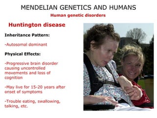 MENDELIAN GENETICS AND HUMANS
Human genetic disorders

Huntington disease
Inheritance Pattern:
-Autosomal dominant
Physical Effects:
-Progressive brain disorder
causing uncontrolled
movements and loss of
cognition
-May live for 15-20 years after
onset of symptoms
-Trouble eating, swallowing,
talking, etc.

 