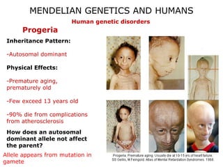 MENDELIAN GENETICS AND HUMANS
Human genetic disorders

Progeria
Inheritance Pattern:
-Autosomal dominant
Physical Effects:
-Premature aging,
prematurely old
-Few exceed 13 years old
-90% die from complications
from atherosclerosis
How does an autosomal
dominant allele not affect
the parent?
Allele appears from mutation in
gamete

 