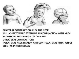Lec 07 Bio-mechanic_muscle_of_spine..ppt