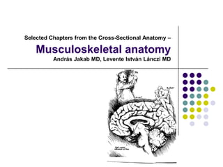 Selected Chapters from the Cross-Sectional Anatomy –

    Musculoskeletal anatomy
          András Jakab MD, Levente István Lánczi MD
 