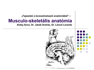 „Fejezetek a keresztmetszeti anatómiából” –
Musculo-skeletális anatómia
Arday Anna, Dr. Jakab András, Dr. Lánczi Levente
 